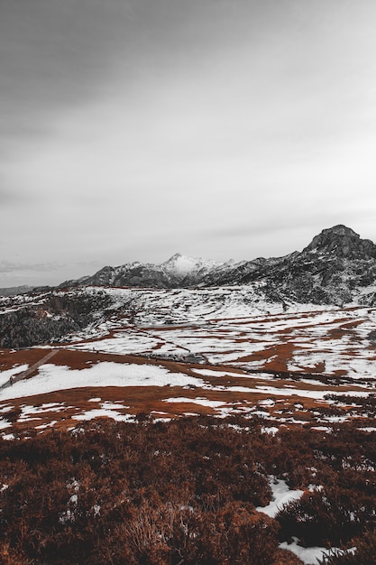 Montagna desaturata