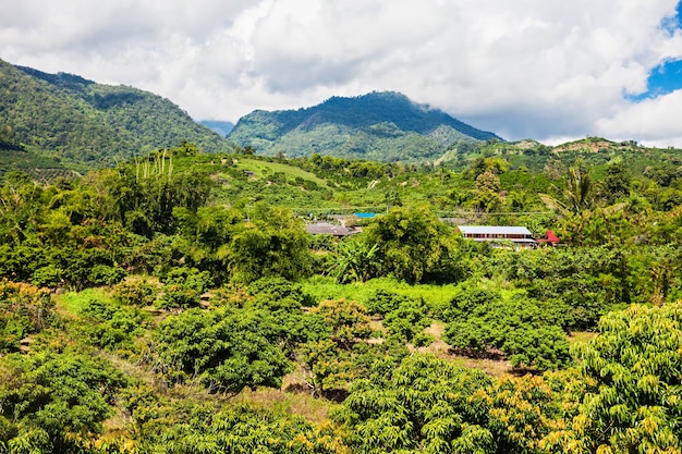 Montagna di Doi Ang Khang nella provincia di Chiang Mai, nel nord della Thailandia.