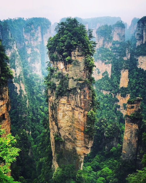 Montagna di Halleluja a Zhangjiajie, in Cina