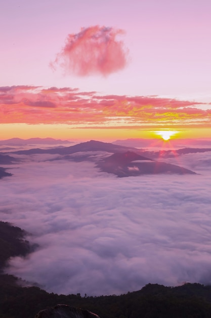 Montagna di nebbia leggera al mattino.