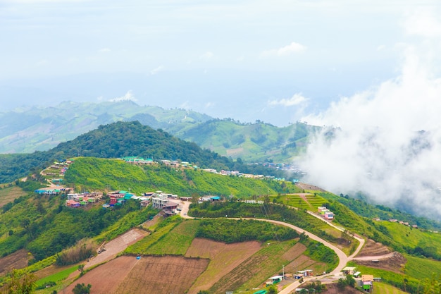 Montagna di Phu Berk della vasca con foschia, Tailandia