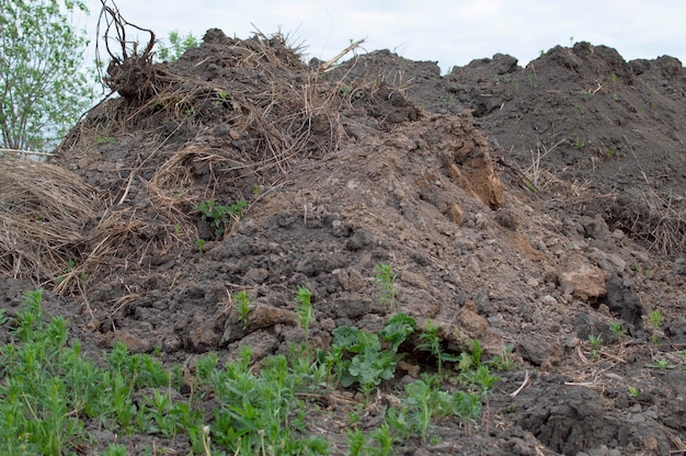 Montagna di sabbia in un cantiere edile. Materiale di fondazione. Terreno preparato per rafforzare il terreno. Mucchio di terra. Sabbia fine per creare una malta cementizia.