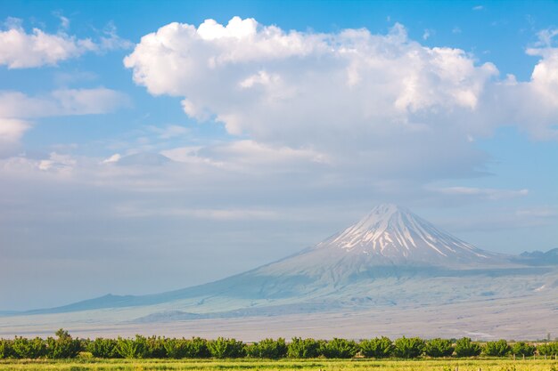 Montagna e campo di Ararat