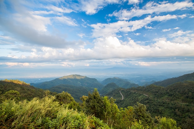 Montagna e cielo blu della foresta