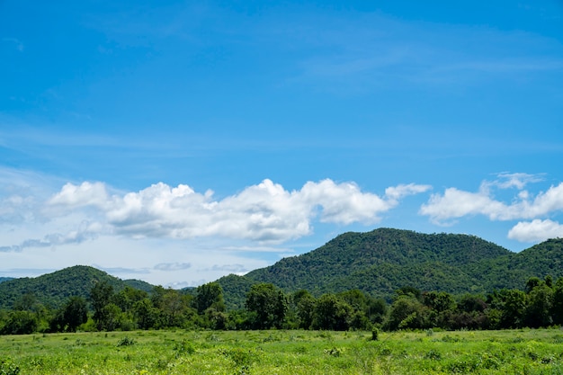 Montagna e cielo blu verdi