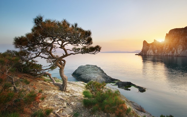 Montagna e mare Composizione della natura