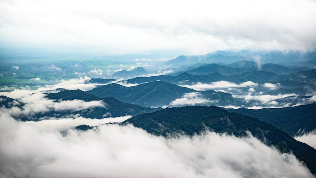 Montagna e nebbia a Phu Thap Boek, provincia di Phetchabun