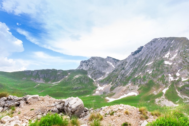 Montagna e paesaggio verde del Montenegro