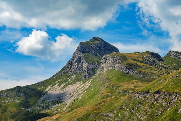 Montagna estiva Parco Nazionale del Durmitor Montenegro Strada panoramica del Durmitor Passo Sedlo