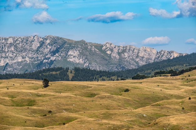 Montagna estiva Parco Nazionale del Durmitor Montenegro Strada panoramica del Durmitor