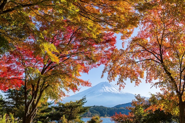 Montagna Fuji con acero