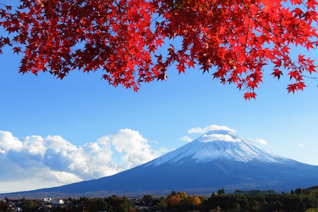 Montagna Fuji con acero