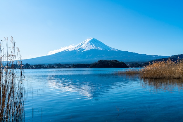 Montagna Fuji con lago Kawaguchiko e cielo blu