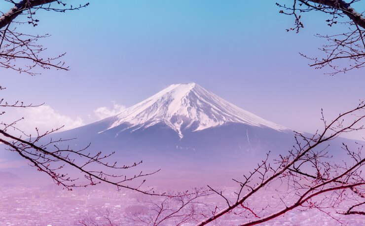 Montagna Fuji in inverno incorniciato da albero secco autunno in colore rosa