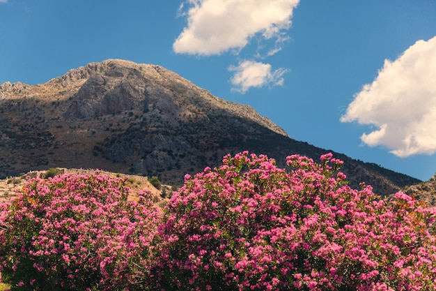 Montagna in Grecia