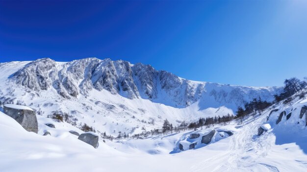 Montagna innevata con cielo blu