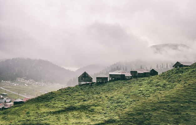 Montagna nebbiosa