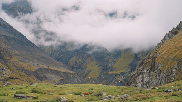 Montagna nebbiosa