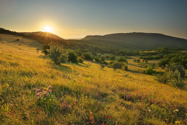 Montagna paesaggio natura