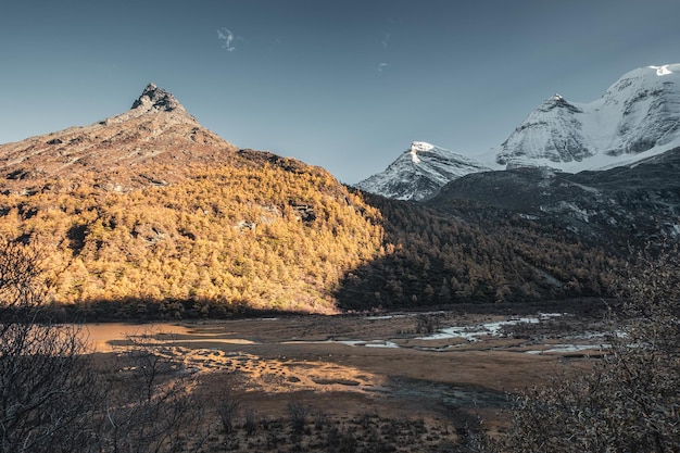 Montagna sacra con cielo blu in pineta in autunno