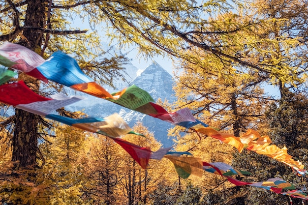 Montagna sacra di Xiannairi con bandiere colorate preghiera che soffia nella foresta