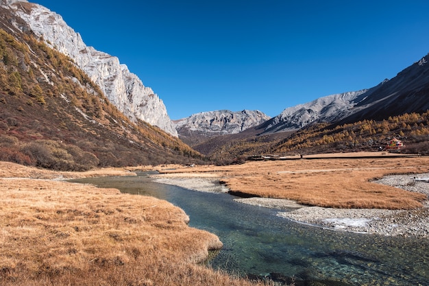 Montagna tibetana sacra con il prato e il fiume dorati in autunno