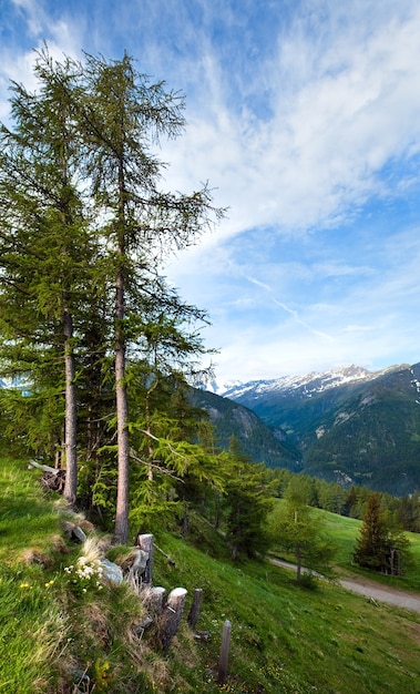 Montagna tranquilla delle alpi di estate, vista dalla strada alpina del Grossglockner