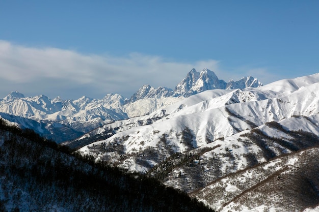 Montagna Twopeaked Ushba tra le montagne della Grande catena del Caucaso Svaneti Georgia