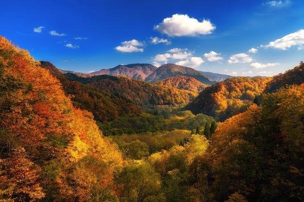 Montagna variopinta di autunno in Tohoku, Giappone