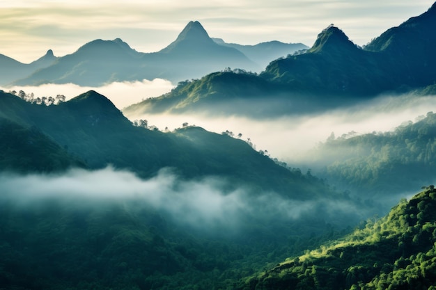 Montagne al mattino Meraviglioso maestoso paesaggio naturale Bellissima illustrazione