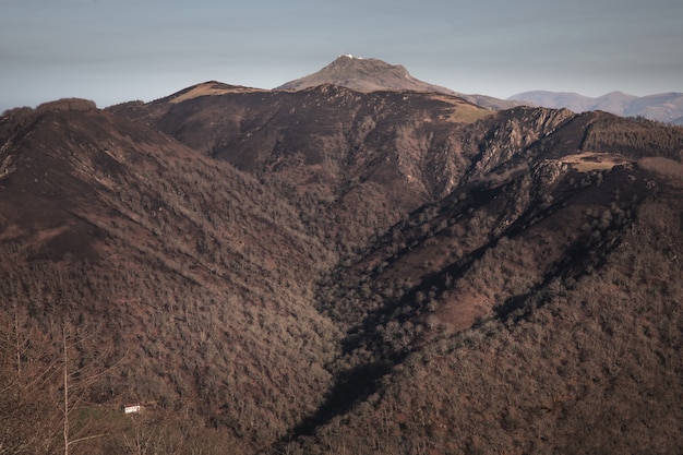 Montagne basche dopo un incendio selvaggio. Foresta bruciata a febbraio 2021.