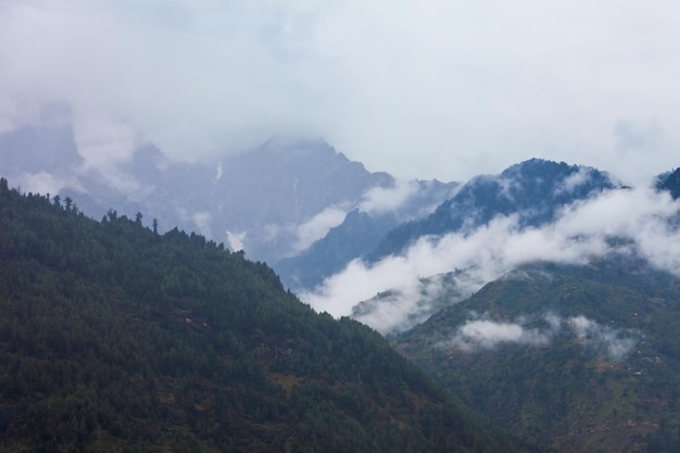Montagne boscose in nuvola e nebbia