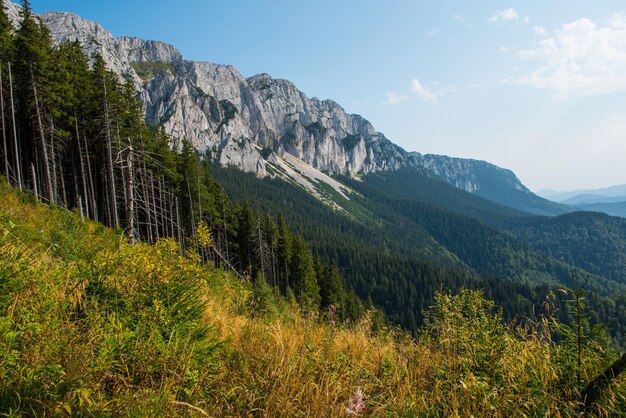 Montagne calcaree Carpati meridionali Romania