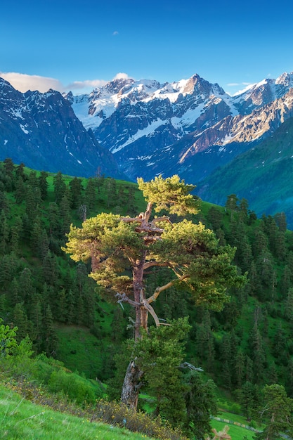 Montagne caucasiche in Georgia