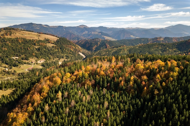 Montagne con alberi autunnali paesaggio