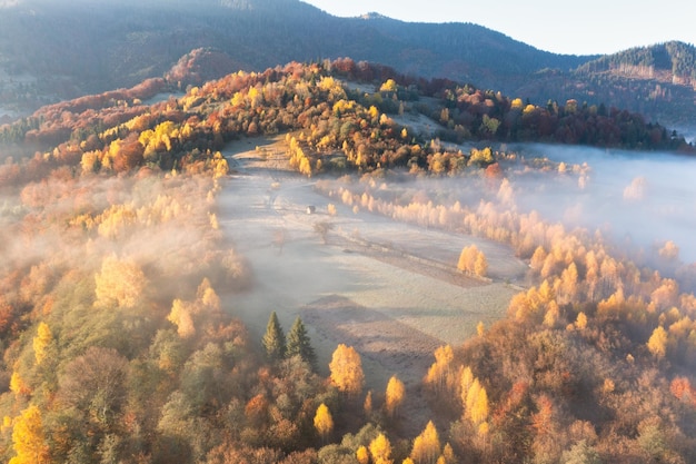 Montagne con alberi di terracotta e verdi che crescono sotto un cielo azzurro senza nuvole sporgono da uno spesso strato di nebbia bianca vista panoramica