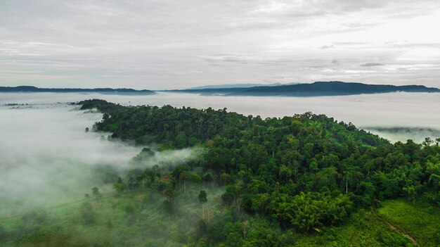 Montagne con alberi e nebbia in Thailandia