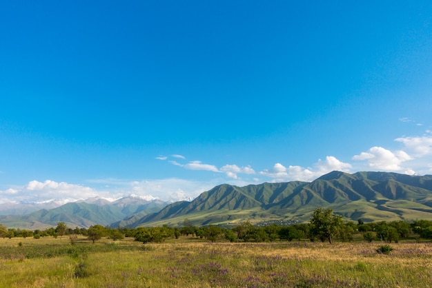 montagne con cielo blu paesaggio