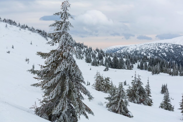 Montagne coperte di neve in inverno