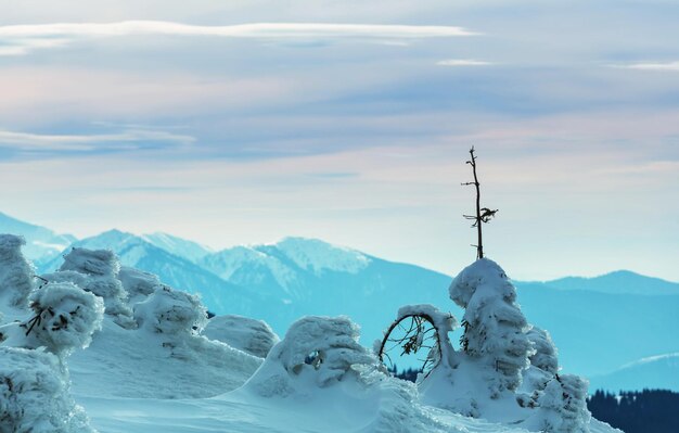 Montagne coperte di neve in inverno