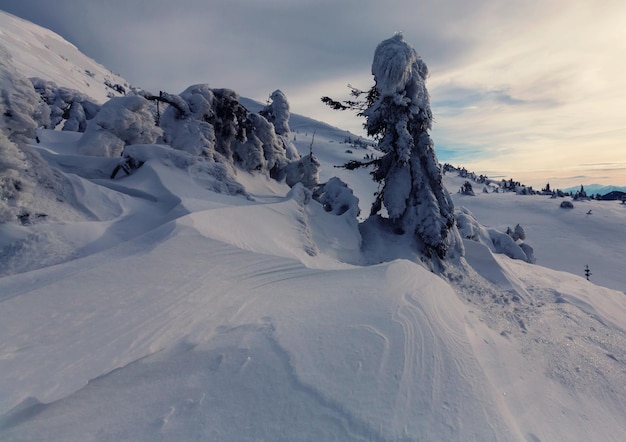 montagne d'inverno