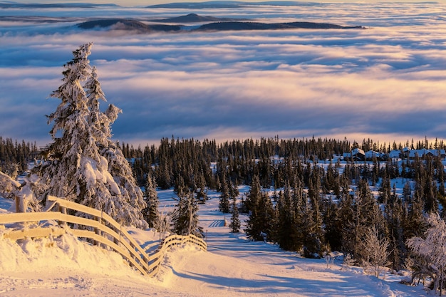 Montagne d&#39;inverno