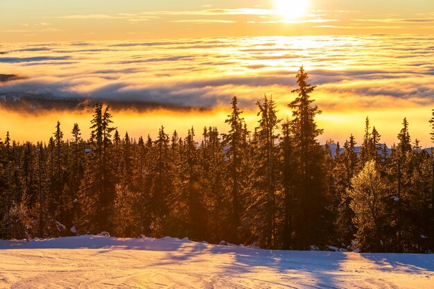 Montagne d&#39;inverno