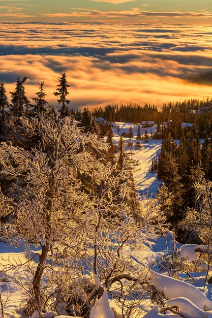 Montagne d&#39;inverno