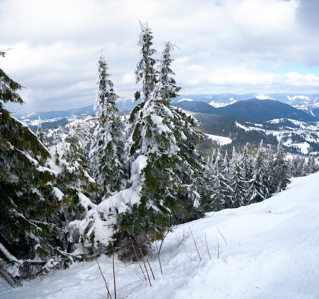 Montagne d&#39;inverno