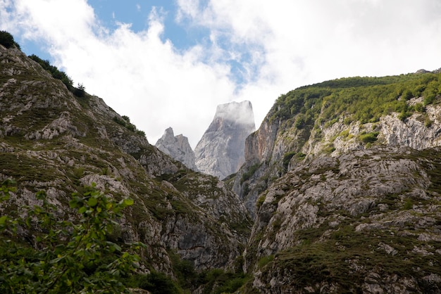 Montagne dei picos de europa