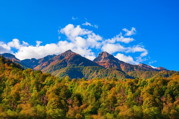 Montagne del Caucaso Rosa Khutor Sochi