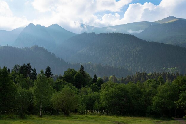 Montagne del Caucaso settentrionale vicino al villaggio di Arkhyz in una mattina nebbiosa estiva KarachayCherkessia Russia