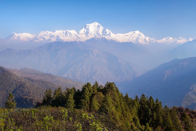 Montagne dell&#39;Himalaya