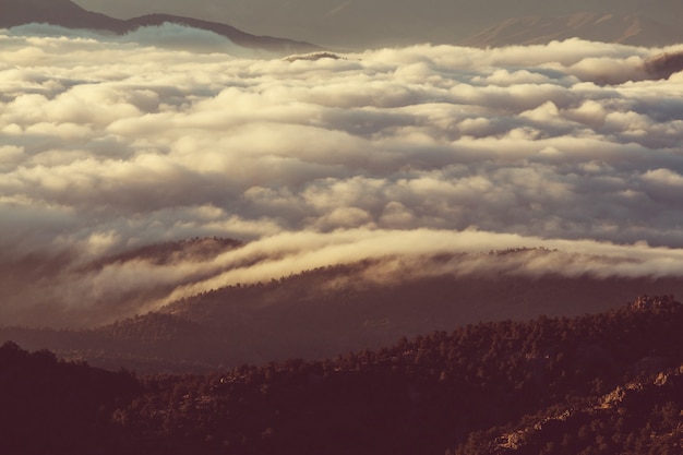 montagne della Sierra Nevada